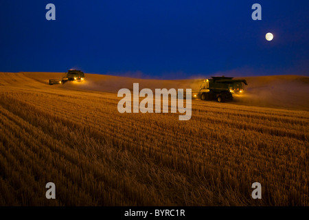 Deux moissonneuses-batteuses John Deere de blé de la récolte après la tombée de la nuit avec la lune sur la montée/ près de Pullman, Région de Palouse, Washington, USA. Banque D'Images