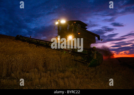Agriculture - une moissonneuse-batteuse John Deere récoltes du blé au crépuscule dans la région de Palouse / près de Pullman, Washington, USA. Banque D'Images