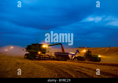 Une moissonneuse-batteuse John Deere récoltes du blé pendant le déchargement du grain à un panier "à la volée" sur un début de soirée couvert / Washington, USA. Banque D'Images