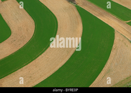 Agriculture - vue aérienne des champs cultivés avec des bandes à la mi printemps coutour / près de Lancaster, Pennsylvanie, USA.