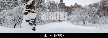 Après une grande tempête de neige tôt le matin dans Central Park Banque D'Images