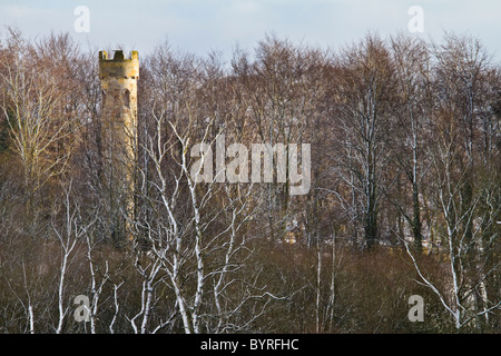 Les motifs de la ruine gothique Hardwick County Park, près de la ville de Sedgefield, County Durham, Angleterre Banque D'Images