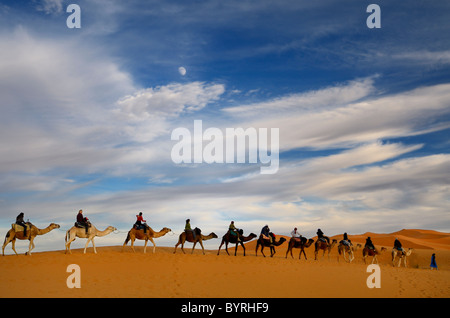 Bleu touareg homme berbère à la tête d'un groupe de cavaliers en chameau une ligne de l'erg Chebbi desert au Maroc avec lune et nuages Banque D'Images