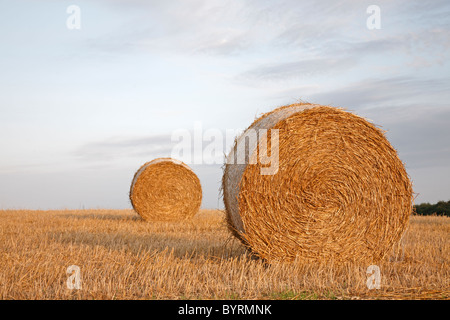 Deux grosses balles de paille sur un chaume de blé champ dans le coucher du soleil contre un ciel bleu avec des nuages violacés, Danemark Banque D'Images