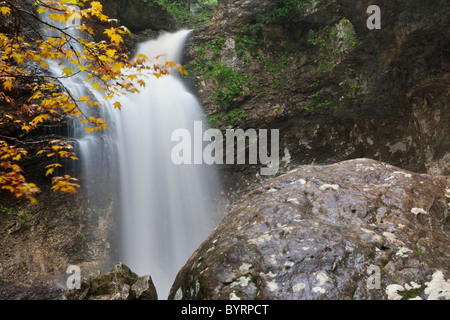 Couleurs d'automne à Eden Falls, Hidden Valley, Ozark Mountains de l'Arkansas - USA Banque D'Images