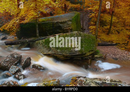 Couleurs d'automne à Eden Falls, Hidden Valley, Ozark Mountains de l'Arkansas - USA Banque D'Images