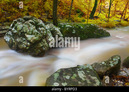 Couleurs d'automne à Eden Falls, Hidden Valley, Ozark Mountains de l'Arkansas - USA Banque D'Images