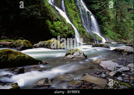 Boulder Creek Falls Comté de King à l'ouest de l'état de Washington USA Darrington Banque D'Images