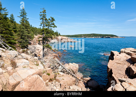 Côte Rocheuse à Thunder Hole dans l'Acadia National Park près de Bar Harbor, Maine Banque D'Images