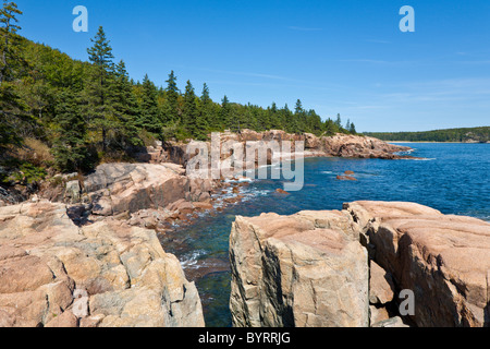 Côte Rocheuse à Thunder Hole dans l'Acadia National Park près de Bar Harbor, Maine Banque D'Images