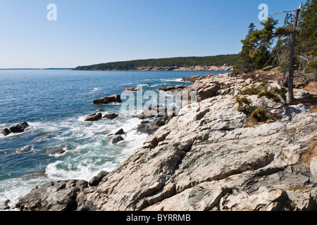 Côte Rocheuse dans l'Acadia National Park près de Bar Harbor, Maine Banque D'Images