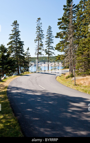 Goélette Head Road, également appelé Park Loop Road dans l'Acadia National Park près de Bar Harbor, Maine Banque D'Images