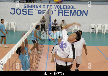 Panama Panama ville,Calidonia,volley,gymnase,sport,athlétisme,fitness,court,net,hispanique homme hommes,saut,pratique,ligue,intérieur,Pana101107085 Banque D'Images