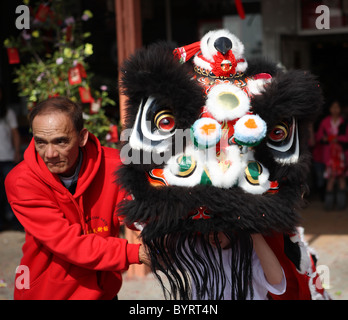 ROSEMEAD, CALIFORNIE - Le 5 février 2011 : un artiste martial senior guides un garçon dans un costume de lion de couleur pendant le Nouvel An chinois Banque D'Images