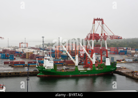 Dutch Runner cargo vous attend au quai de chargement à Halifax, Nouvelle-Écosse, Canada Banque D'Images