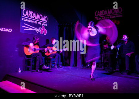 La danse flamenco Espagne Madrid Banque D'Images