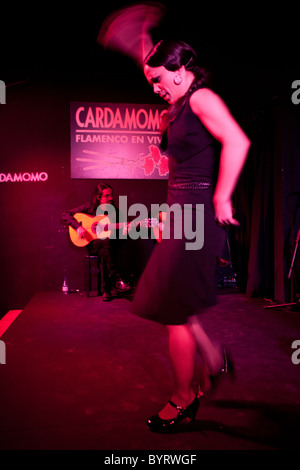 La danse flamenco Espagne Madrid Banque D'Images