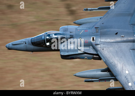 Les Harrier jump jet Lowe volant dans le nord du Pays de Galles le mach loop ils vont aussi bas que 250ft Banque D'Images