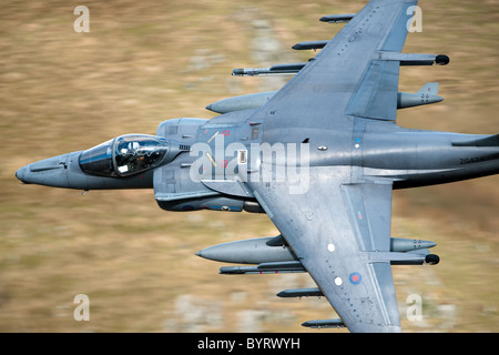 Les Harrier jump jet Lowe volant dans le nord du Pays de Galles le mach loop ils vont aussi bas que 250ft Banque D'Images