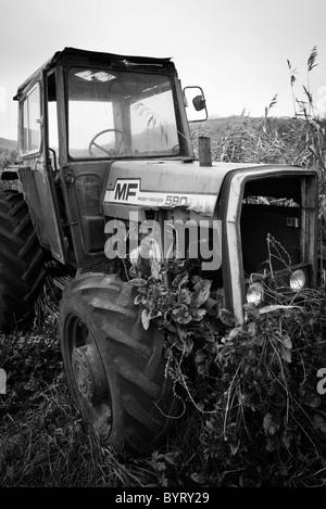 Décrépites et désaffecté, Massey Ferguson tracteur Banque D'Images