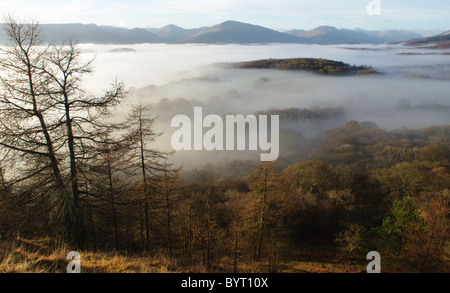 Voir à partir de la CONIC Hill près de Balmaha à Loch Lomond, les Trossachs Stirlingshire Ecosse Banque D'Images