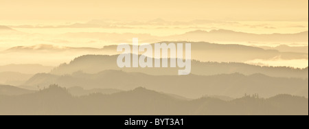 Vue du sommet des montagnes, des prairies, des montagnes de la Chaîne Côtière du comté de Lane, de l'Oregon. Banque D'Images