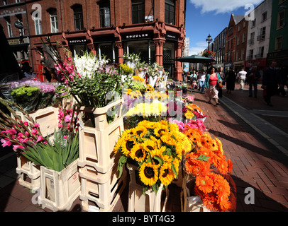 Blocage de fleurs sur rue de Dublin Banque D'Images