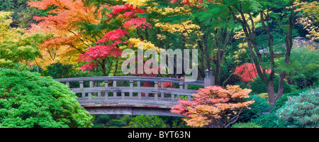 Les jardins japonais de Portland avec pont et couleurs d'automne. Oregon Banque D'Images