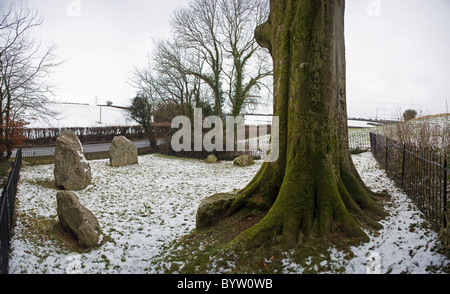 Les neuf pierres de Winterbourne Abbas, Stone Circle, Dorset, UK Banque D'Images