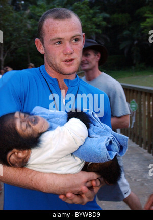 Wayne Rooney est titulaire d'un bébé orang-outan lors d'une visite à Xiangjiang Safari Park à Guangzhou sur Manchester United, Pré saison Banque D'Images