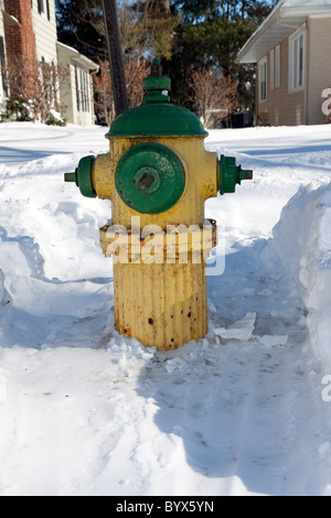 Incendie Hydrant récemment éliminé de la neige Kalamazoo Michigan Etats-Unis, par James D Coppinger/Dembinsky photo Assoc Banque D'Images