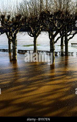 La fonte des neiges dans le sud a causé la rivière Main à enfler et sa promenade au bord de l'inondation dans la région de Frankfurt am Main. Banque D'Images