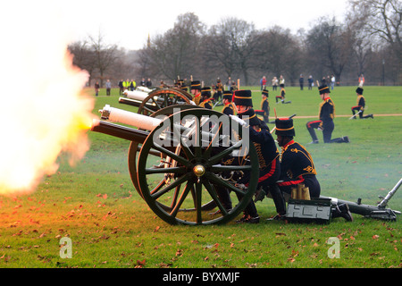 Feu de Canon dans Hyde Park Banque D'Images