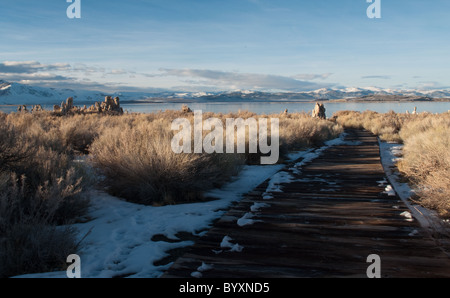 Voie menant à des formations de tuf au lac Mono, en Californie. En bordure de la Sierra Nevada, c'est le plus ancien des Etats-Unis. Banque D'Images