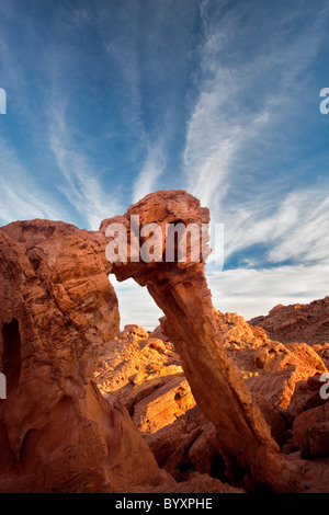 Roche de l'éléphant. Vallée de Feu Park, Nevada Banque D'Images