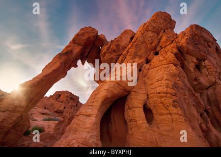 Roche de l'éléphant et le coucher du soleil les nuages. Vallée de Feu Park, Nevada Banque D'Images