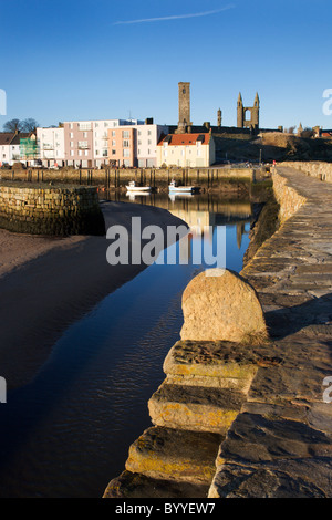 Étapes à l'Harbour St Andrews Fife Ecosse Banque D'Images