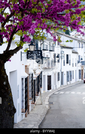 Dans les bâtiments traditionnels typiques de la rue / route / scène de Grazalema, village blanc dans le NE de la province de Cadix, Andalousie, Espagne Banque D'Images