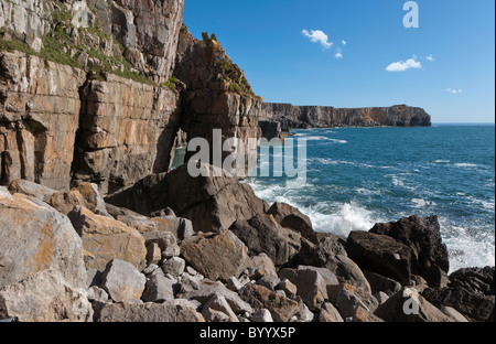 Falaises À ST GOVAN'S HEAD (PEMBROKESHIRE COAST NATIONAL PARK Banque D'Images