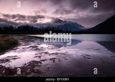 La première lumière, lever du soleil à Vermillion Lakes, Banff, Alberta, Canada Banque D'Images