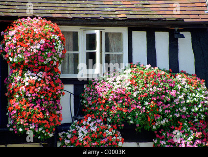 Les jardinières et paniers suspendus décorer une chambre en noir et blanc, Evesham, Worcestershire, Vale of Evesham, England, UK, Europe Banque D'Images