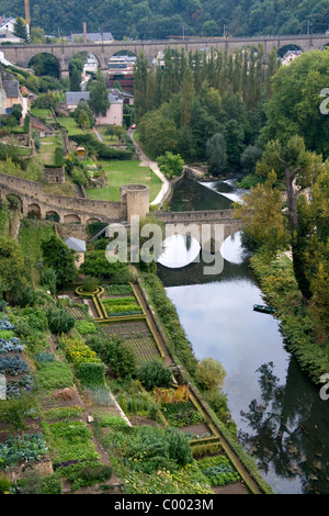 Jardins au bord de l'Alzette dans le Grund district de la ville de Luxembourg, Luxembourg. Banque D'Images