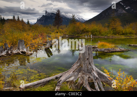 Les nuages de tempête et de Montagnes reflété sur le lac encore, lever du soleil à Vermillion Lakes, Banff, Alberta, Canada Banque D'Images