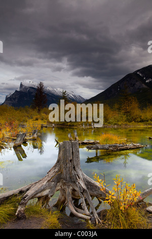 Les nuages de tempête et de Montagnes reflété sur le lac encore, lever du soleil à Vermillion Lakes, Banff, Alberta, Canada Banque D'Images