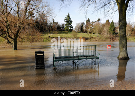 Inondation de la rivière Severn à en face de la carrière, Shrewsbury, Shropshire, Février 2011 Banque D'Images