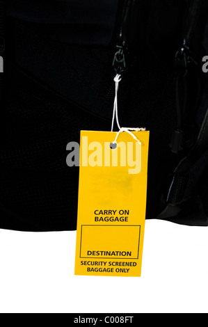 La sécurité de l'aéroport placé sur une balise leur bagage de Banque D'Images