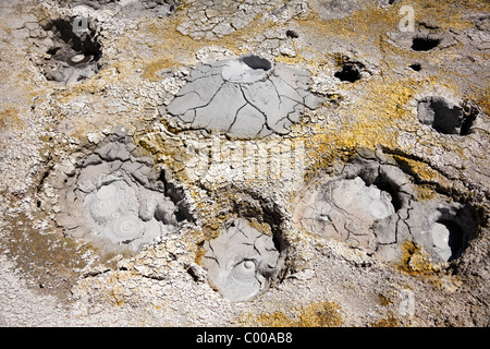 Pots de boue bouillonnante dans le sol de Mañana en champ géothermique sur Lípez, Potosi, le sud-ouest, la Bolivie, l'Amérique du Sud. Banque D'Images