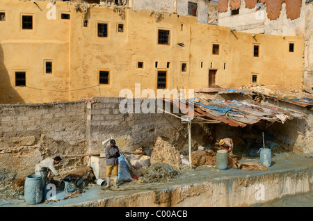 Fes tannerie cuirs peinture travailleurs avec chrome bleu solution par l'Oued Fes Fez Maroc Chouara rivière trimestre l'Afrique du Nord Banque D'Images