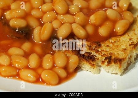 Les haricots sur toast un repas britannique traditionnel Banque D'Images