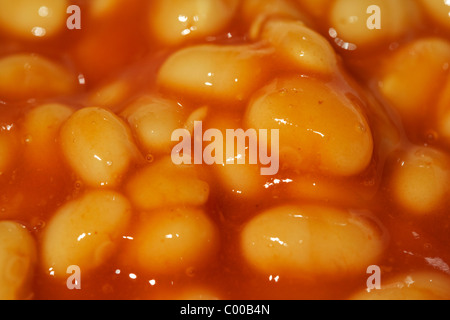 Des haricots blancs à la sauce tomate Banque D'Images